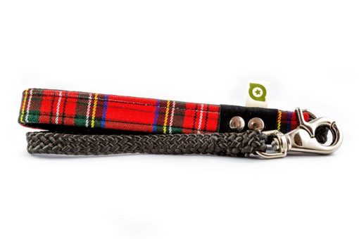 Guinzaglio Tartan Pada Creazioni