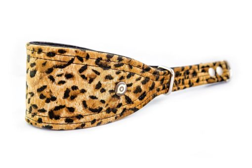 Collare Leopard levrieri Pada